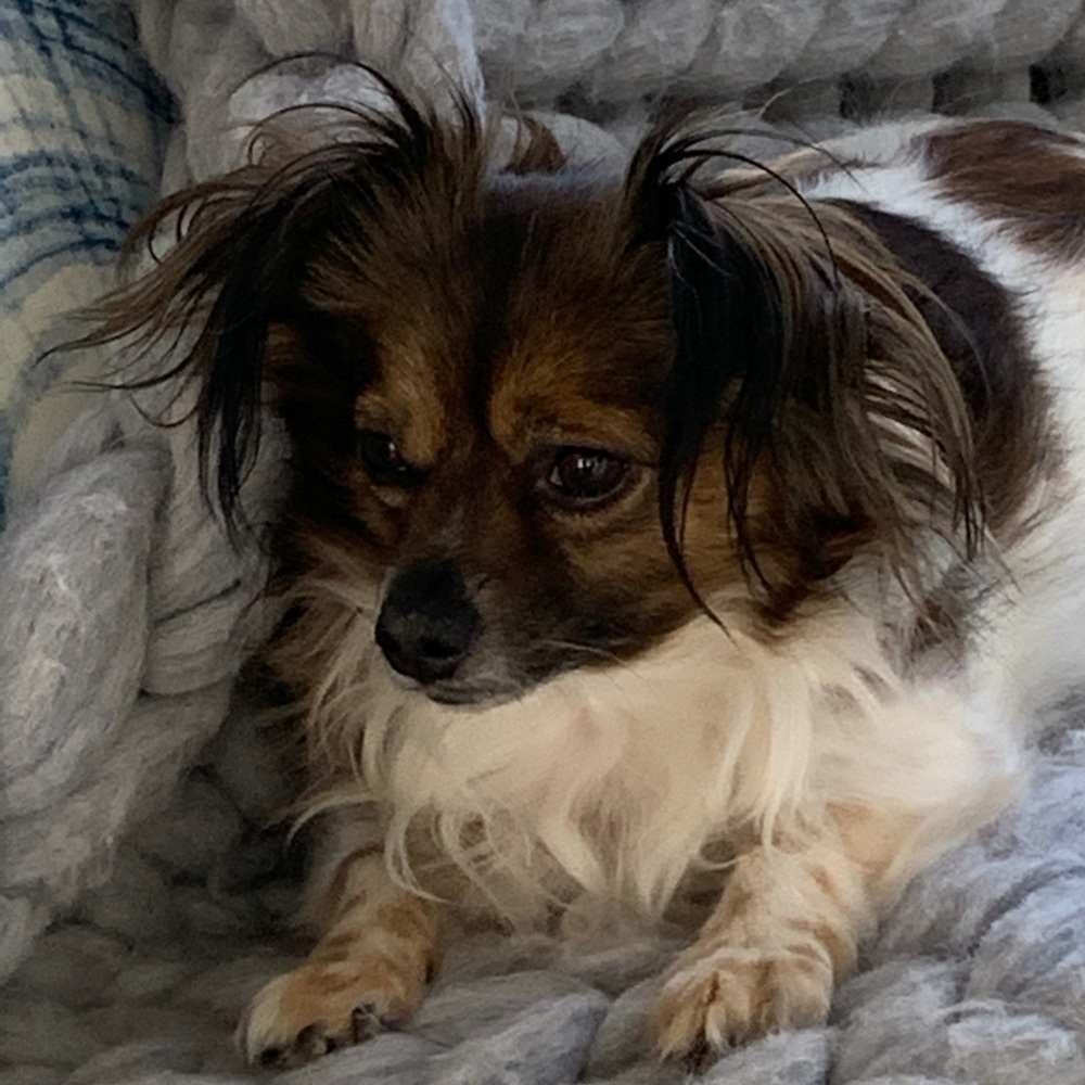 Meet your Posher, Beth